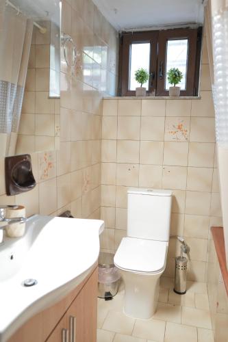 a bathroom with a toilet and a sink at Sunny apartment in Mythimna