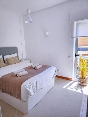 Faro Heart House