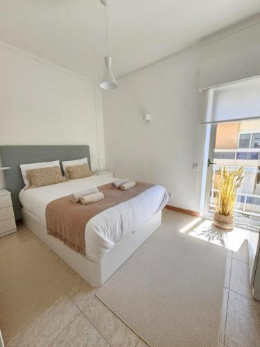 Faro Heart House