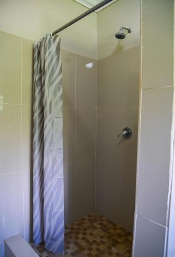 a shower with a glass door in a bathroom at Leopard Tree Apartments in Lusaka