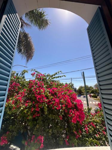 a hanging basket of pink flowers on a building at Hotel Vicente López in Vicente López