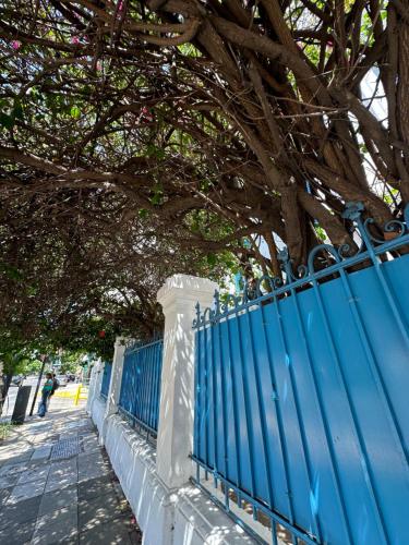 a blue fence with a tree behind it at Hotel Vicente López in Vicente López