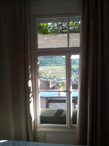 a window with a view of a pool outside at Studio apartman Bel Vedere in Motovun