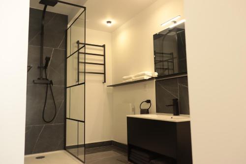 une salle de bain avec douche et lavabo dans l'établissement Suite Izambard 4 pers Standing en centre ville, à Charleville-Mézières