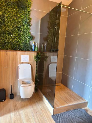 un baño con inodoro y ducha en Studio Pasaia, en Ascarat