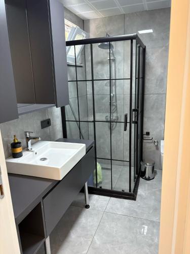 a bathroom with a shower and a white sink at Villa the Moon in Dalaman