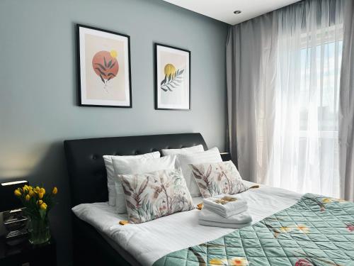 トルンにあるApartament Chełmionkaのベッドルーム1室(枕付きのベッド1台、窓付)