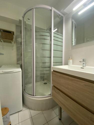 une salle de bain avec une douche, des toilettes et un lavabo dans l'établissement LE SOUEHLA APPART - Piscine Wifi Parking résidence les Sables D'or - La Grande Motte, à La Grande Motte