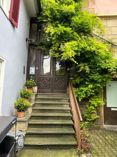 a set of stairs leading to a door with plants at bella casa - Business&Family, Messe Flughafen in 5 min, SmartTV, Netflix, Waschmaschine, 24h Checkin, 35qm in Stuttgart
