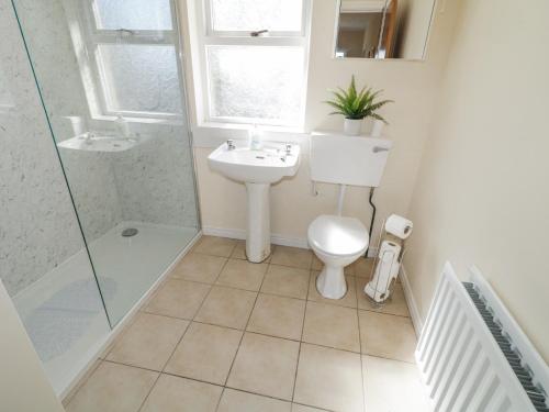 ein Badezimmer mit Toilette, Waschbecken und Dusche in der Unterkunft Hill House in Ballymoney