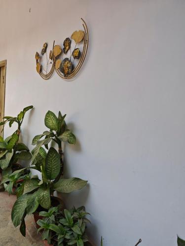 a wall with a clock on a wall with plants at Raj Hotel - Since 1960 in Sultānpur