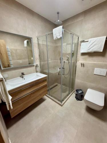 a bathroom with a shower and a sink and a toilet at Hotel Restaurant Unikat in Zeltingen-Rachtig