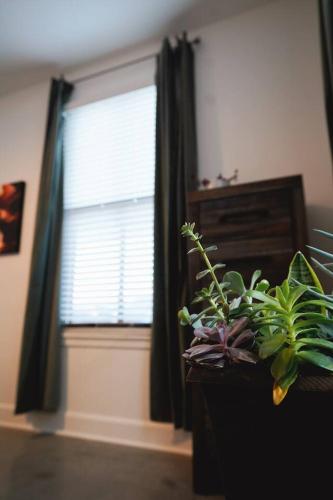 a room with a window with a plant on a table at Canyon Stop in Lawrence