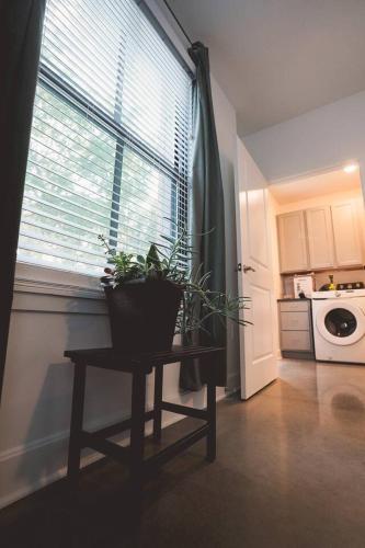 a kitchen with a table with a potted plant on it at Canyon Stop in Lawrence