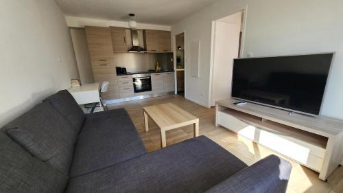 T2 Cité de l'Espace -4Pers - fully equipped