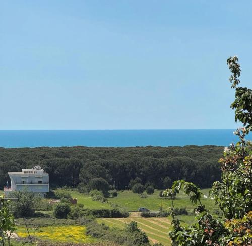 a view of a building in a field with the ocean in the background at Bellavista Villa in Durrës