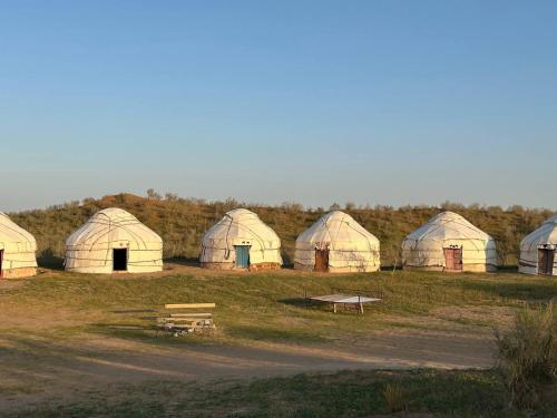 a group of domes in a field with a bench at Khansar Family Yurt Camp in Elʼtay