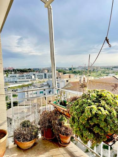 Μπαλκόνι ή βεράντα στο MyPuglia, Central Sea-View Suites in Brindisi
