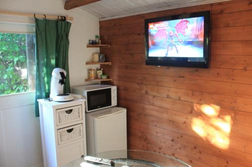 un salon avec une télévision sur un mur en bois dans l'établissement Petit chalet climatisé avec jacuzzi privé, au Beausset