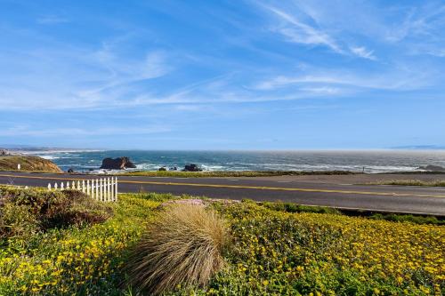 a road next to the ocean with a field of flowers at Sunset Escape in Bodega Bay