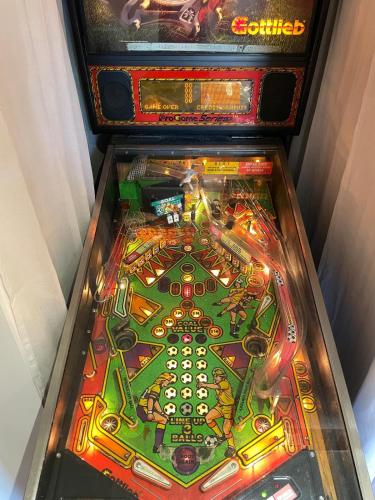 un flipper avec un jeu en haut dans l'établissement Grande Maison Festive, à Loupeigne