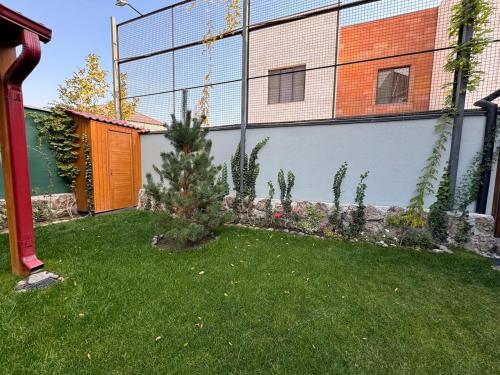 a garden with a christmas tree in the yard at LoveArmenia in Arrinj