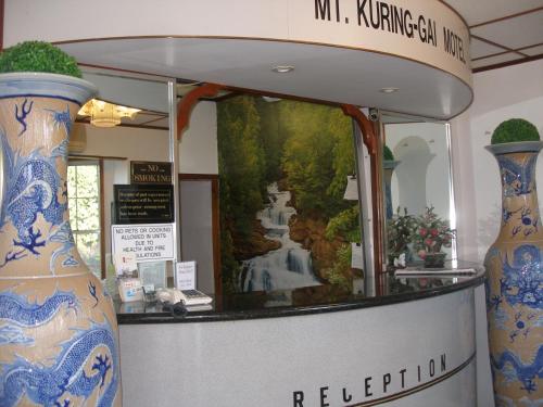 Mt Kuring-Gai Motel في Mount Kuring-Gai: متحف به مزهريتين ولوحة شلال