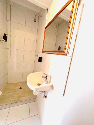 a bathroom with a sink and a mirror and a shower at Executive Accommodation Bellville 2 in Cape Town