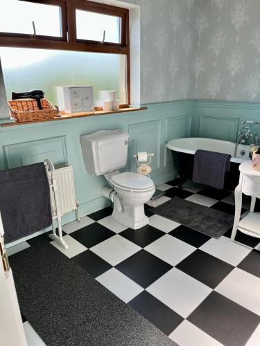 a bathroom with a toilet and a tub and a sink at Countryside House & private garden in Limerick