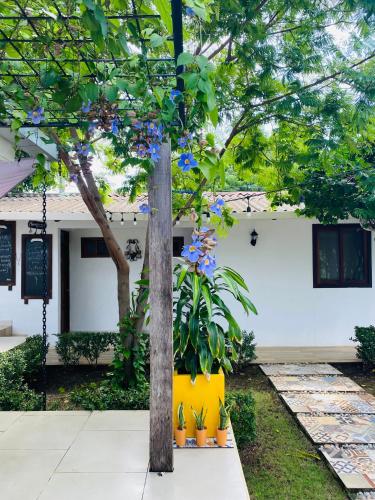 a tree in front of a white building with blue flowers at Casa San Juan 560 in Managua