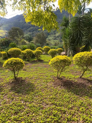 Landskap semula jadi dekat dengan chalet