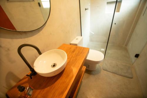 a bathroom with a sink and a toilet and a mirror at Suíte jasmim vermelho in Campos do Jordão