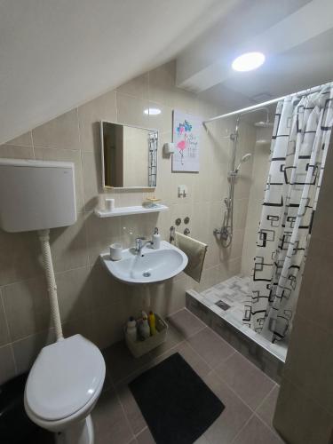 a bathroom with a toilet and a sink and a shower at Smestaj Dzentlmen in Soko Banja