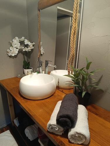 La salle de bains est pourvue de 2 lavabos et d'un miroir sur un comptoir. dans l'établissement La cabane 1949, à Gujan-Mestras