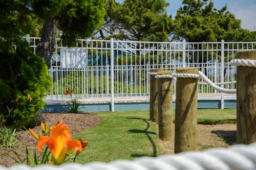 Κήπος έξω από το Tar Heel Motel