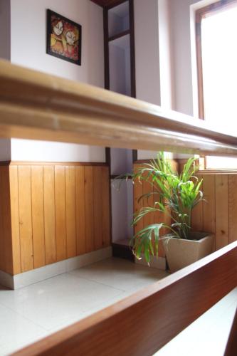 a room with two plants sitting on a shelf at Flugafen B&B- A Peaceful home in Apple Orchards in Manāli