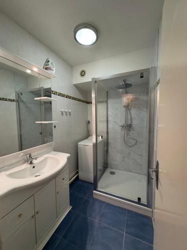 une salle de bain avec une douche et un lavabo et une douche dans l'établissement Le Seydrad, appartement vue nature, hauteurs de Gérardmer, à Gérardmer