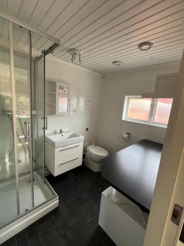 a bathroom with a shower and a toilet and a sink at Archipelago cabin with sauna, fireplace & close to the ocean in Ingarö