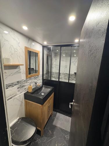 une salle de bain avec un lavabo et des toilettes dans l'établissement Appartement Rouen gare/centre, à Rouen