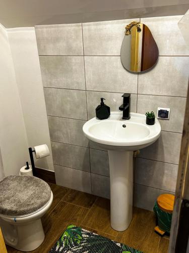 a bathroom with a sink and a toilet at DOLINA ROZTOKI-mieszkanie,pokoje lub domek z lokalem na poddaszu in Bircza