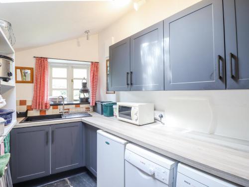 a kitchen with blue cabinets and a microwave at Haulfryn in Llangynog