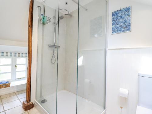 a shower with a glass door in a bathroom at Haulfryn in Llangynog