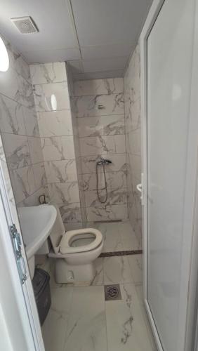a bathroom with a toilet and a sink at Apartments Picioski in Peštani