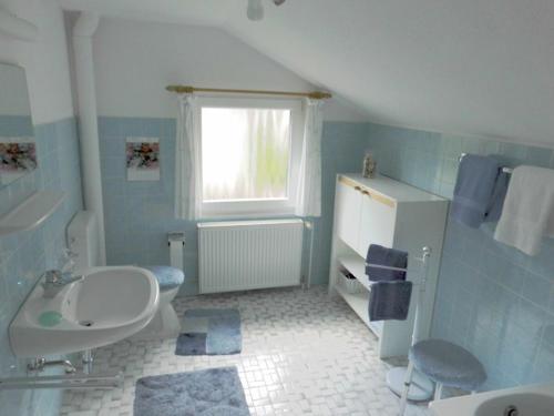 a blue bathroom with a sink and a toilet at Holiday apartment with 2 bedrooms in Bad Harzburg