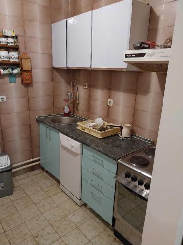 Η κουζίνα ή μικρή κουζίνα στο Dve Breze