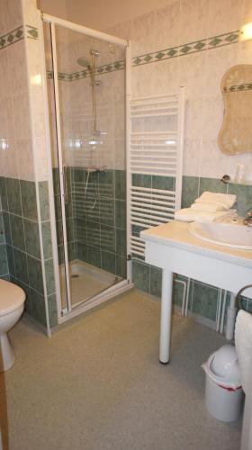 ein Bad mit einer Dusche, einem Waschbecken und einem WC in der Unterkunft Auberge De Raulhac in Raulhac