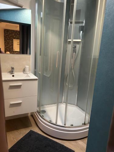 a bathroom with a shower and a sink at Charmant studio pour 2 personnes à Orsay in Orsay