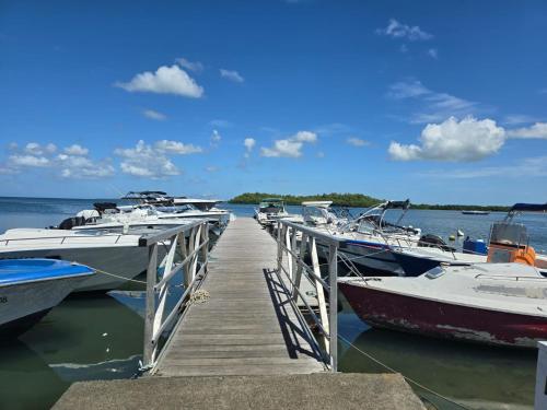 a group of boats docked at a dock at Appartement Le Milano in Morne-à-lʼEau