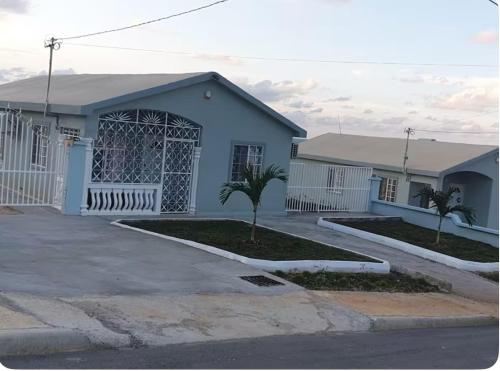 a blue house with a palm tree in front of it at CrearyStays in Discovery Bay