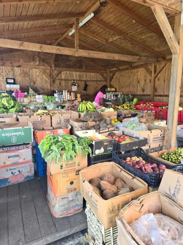 a market filled with boxes of vegetables and fruits at Bungalow le Refuge Vert in Morne-à-lʼEau